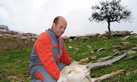 Relevo generacional en la ganadería de Santiago-Pontones