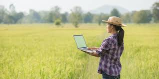 Programa UNICO para eliminar la brecha digital en las zonas rurales