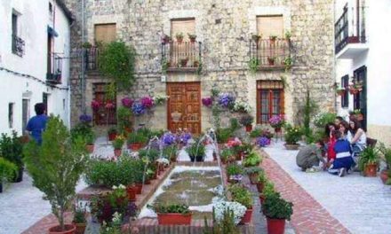 «Flor de Andalucía» crece en Jaén
