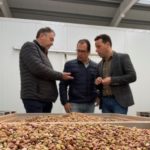El pistacho no para de crecer en Jaén