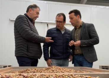 El pistacho no para de crecer en Jaén
