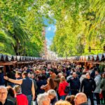 Andújar y Sabadell, próximas paradas de la Fiesta del Primer Aceite