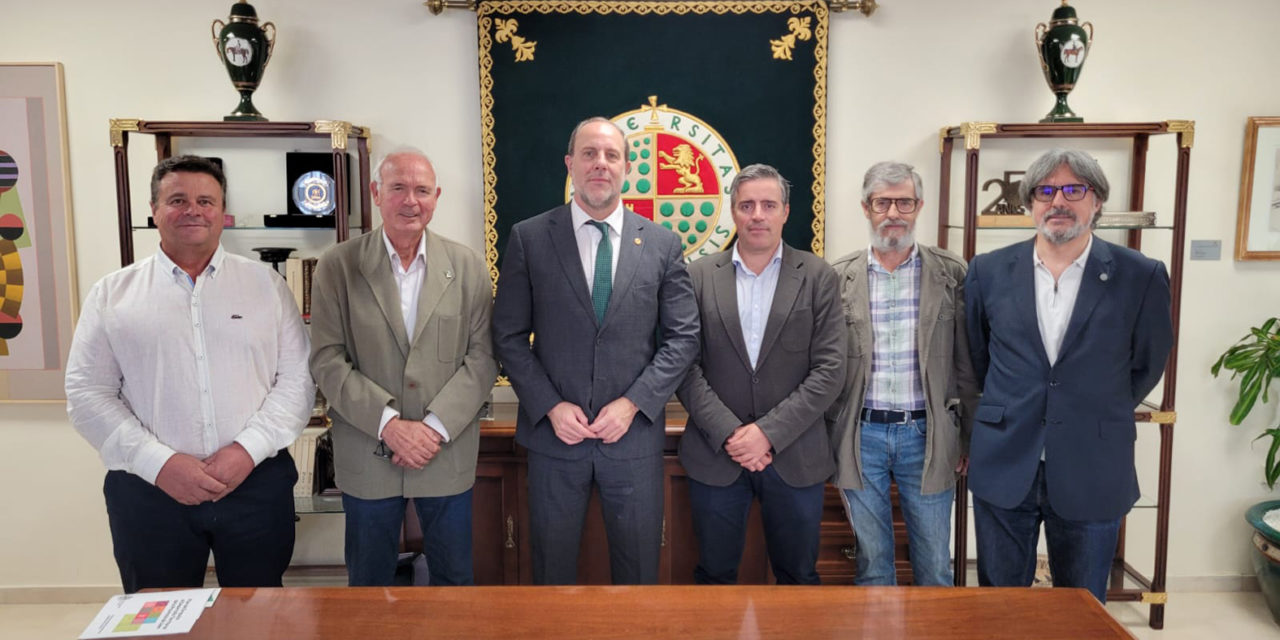 La UJA considera una «oportunidad única» la candidatura de los Paisajes del Olivar Andaluz