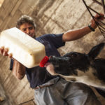 Llega Cultiva, el ‘Erasmus agrario’