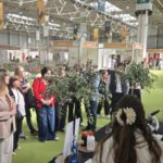 Laboleo, el laboratorio científico del aceite de oliva